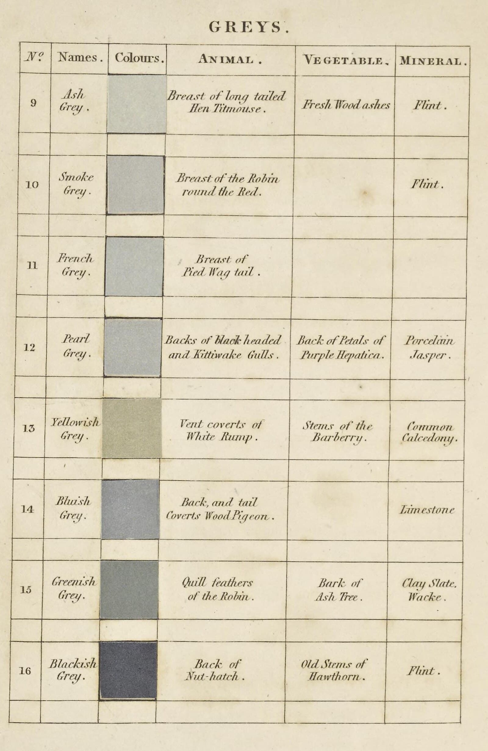 The Greys plate from Werner's Nomenclature of Colours, 1821. A table with columns for number, name, colour, animal, vegetable and mineral. Row 10, Smoke Grey, gives its printed swatch and points to the breast of the robin around the red; row 16, Blackish Grey, points to the back of a nuthatch.